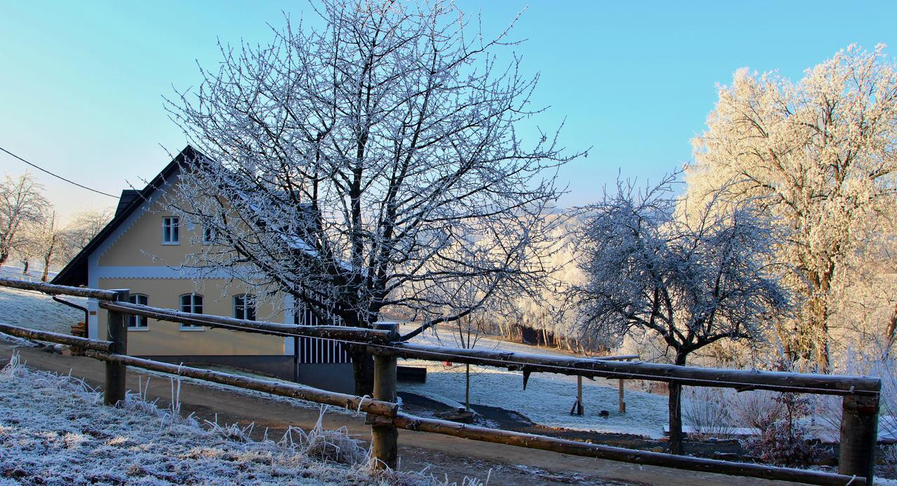 Ranch Bystra Villa Bystra nad Jizerou ภายนอก รูปภาพ